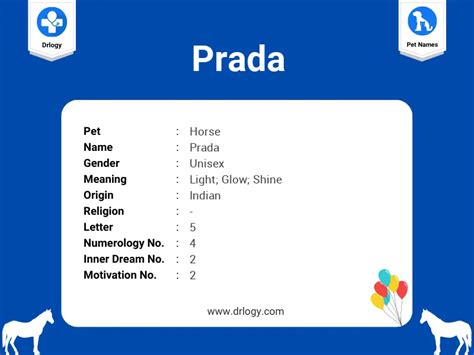 prada synonym|prada meaning.